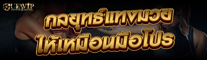 กลยุทธ์แทงมวยให้เหมือนมือโปร