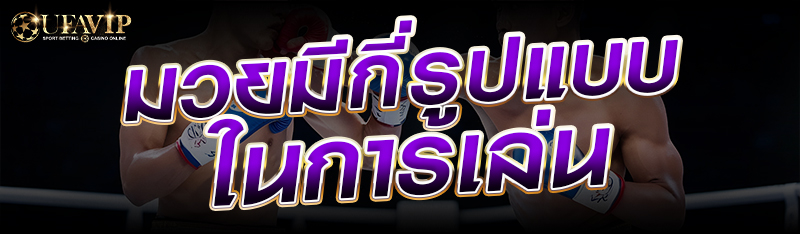 มวยมีกี่รูปแบบในการเล่น