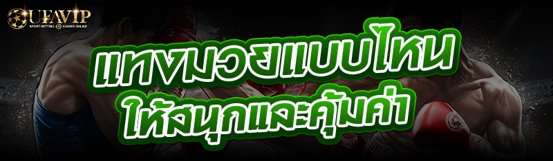 แทงมวยแบบไหนให้สนุกและคุ้มค่า 