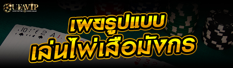 เผยรูปแบบเล่นไพ่เสือมังกร